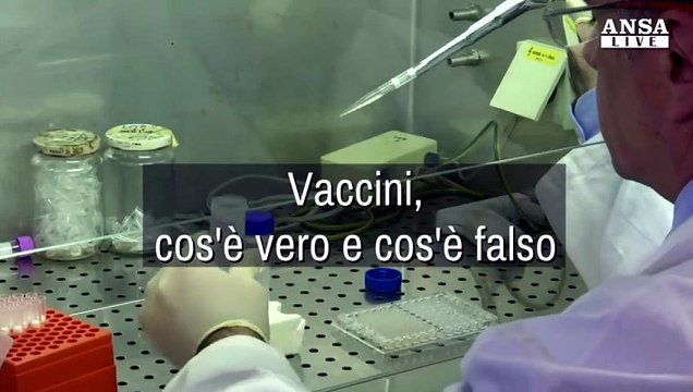 Vaccini: ecco cosa è vero e cosa è falso