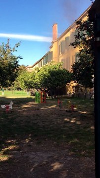 Fumo e allarme al Maria Luigia, scuola evacuata per un paio d'ore Video