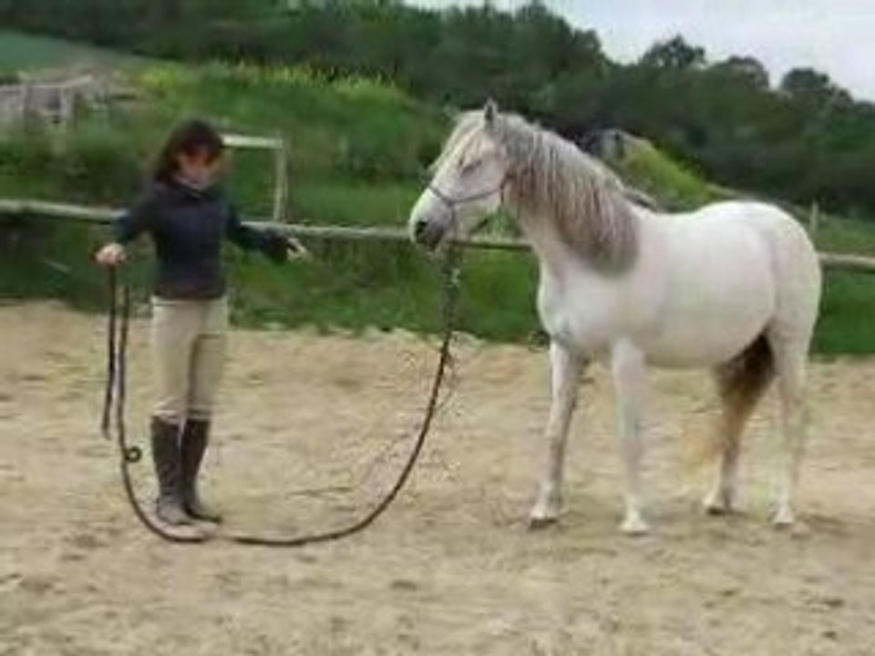 a pied en longe