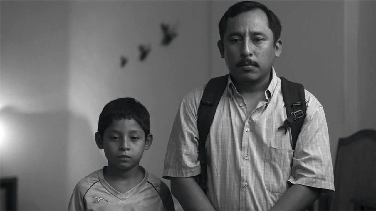 Flies Trailer OmeU