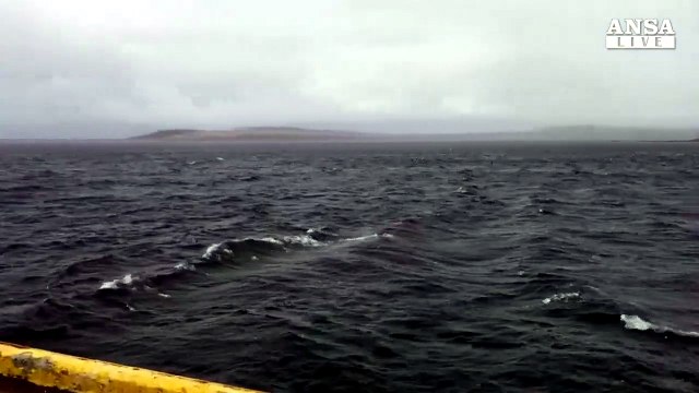 Argentina: Marina, acqua in 'snorkel' causo' corto circuito