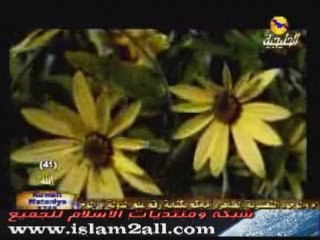 Magnifique nashid ecouter