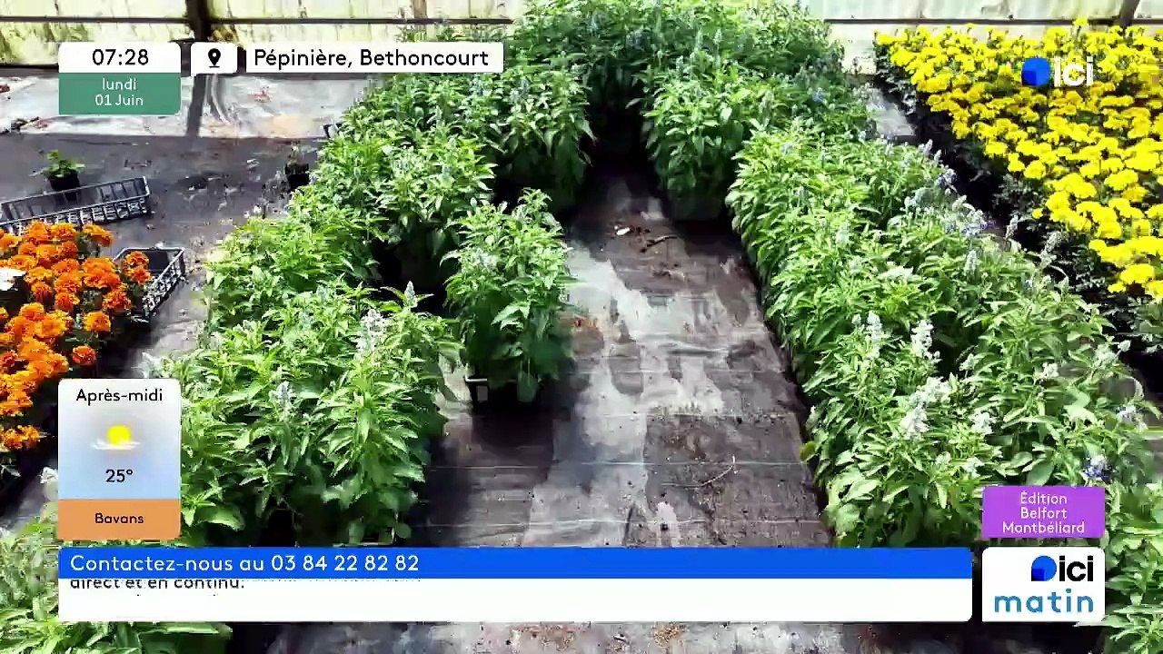 01/06/2026 - ici matin par ici Belfort Montbéliard en vidéo