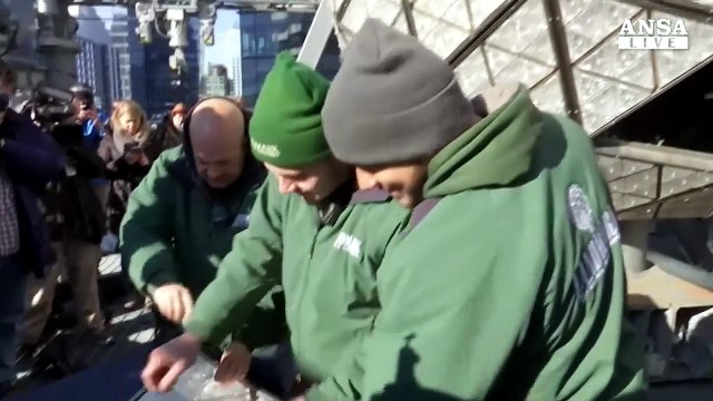 La 'palla' di Times Square e' pronta per il capodanno