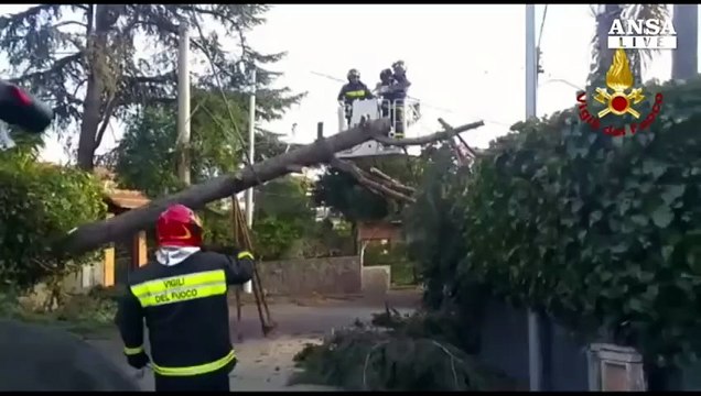 Maltempo: vento abbatte alberi a Catania