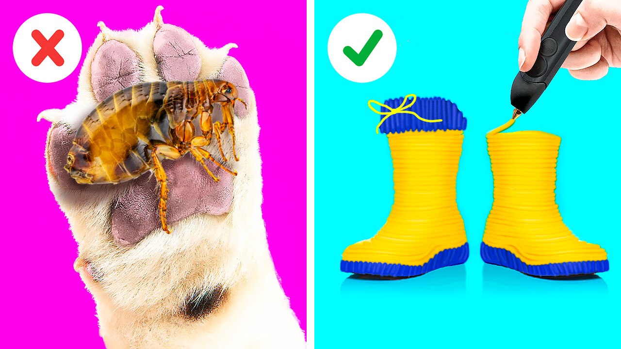 Astuces pratiques pour voyager avec votre animal de compagnie