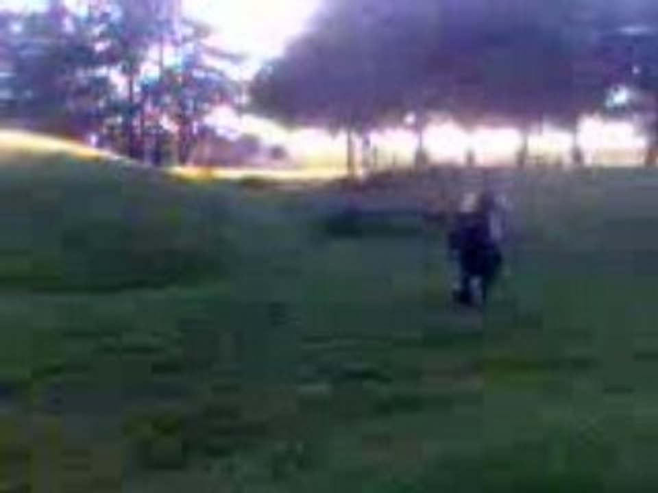 salto avant moi a.k.a toto