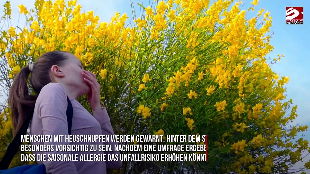 Heuschnupfen erhöht das Risiko für Autounfälle