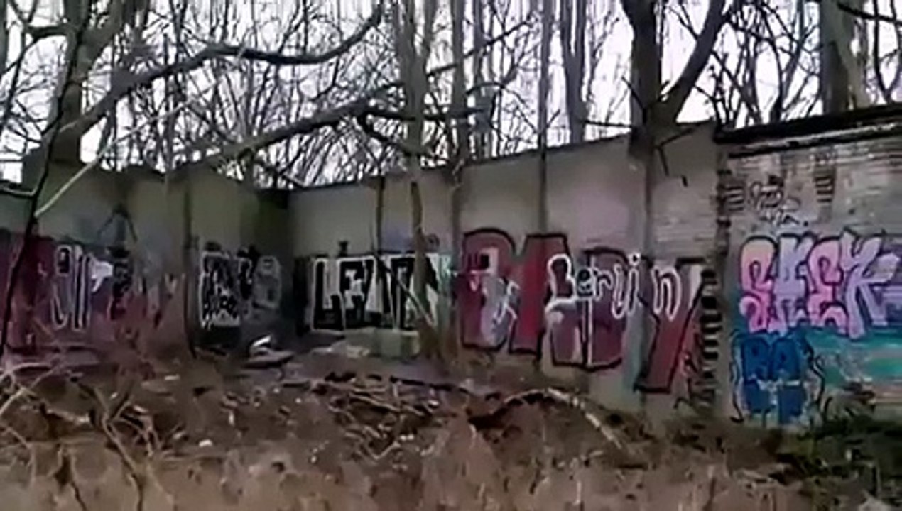 NON USARE Muro di Berlino