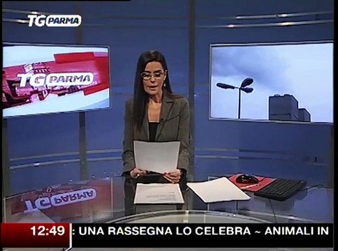 Smog: polveri sottili oltre i limiti da tre giorni a Parma