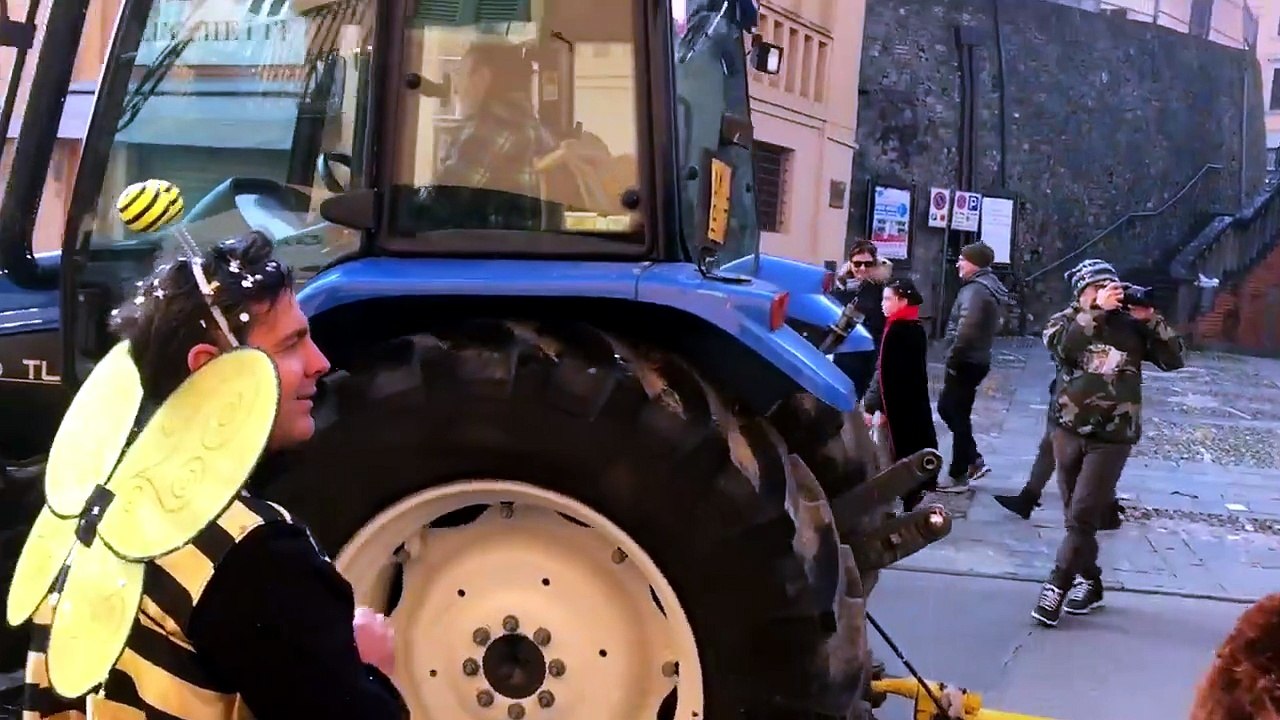 Carnevale a Traversetolo  Video