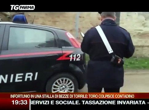Incornato da un toro: grave un allevatore 78enne a Bezze Video