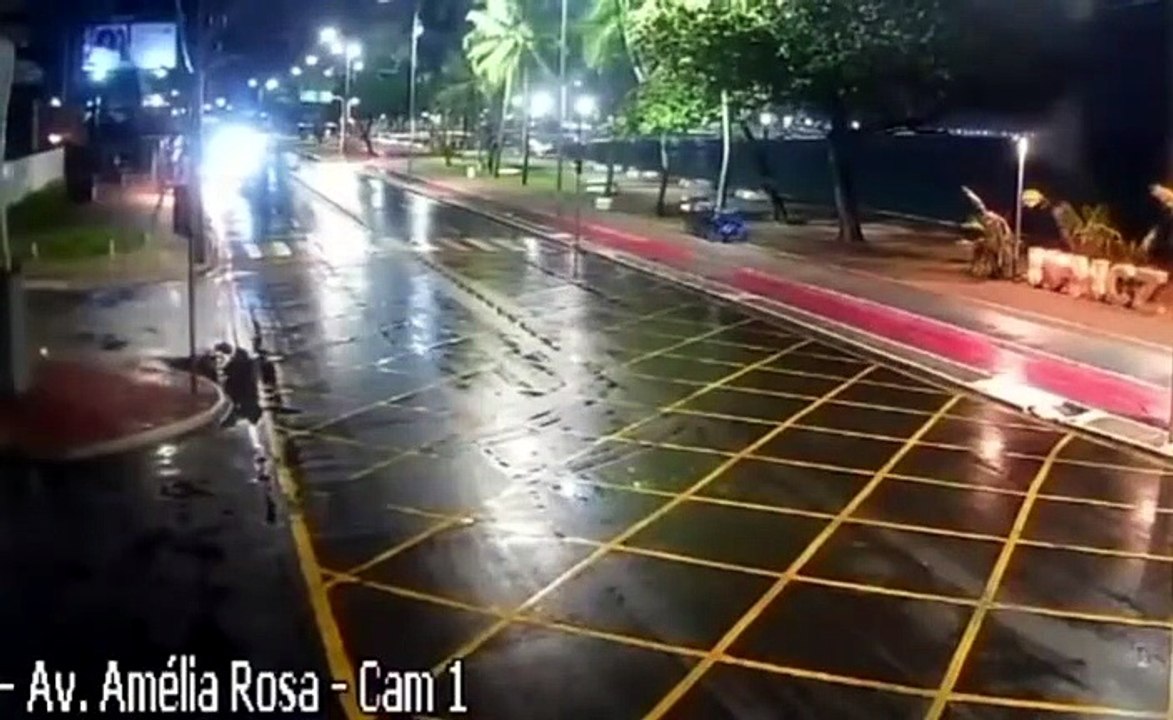 Câmera registra momento em que carro derruba coqueiro na orla de Maceió