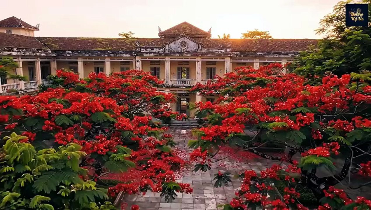 Cánh Phượng Ngày Xưa | MV Official | Bolero Trữ Tình Hoài Niệm Về Mối Tình Học Trò Đầu Tiên