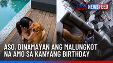 Aso, dinamayan ang malungkot na amo sa kanyang birthday | GMA News Feed
