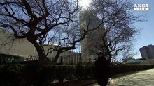 Iran: Consiglio sicurezza si riunisce d'urgenza domani