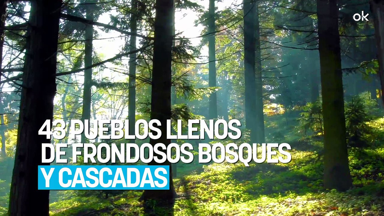 Casi nadie la visita pero dicen que es "la Selva Negra española": 43 pueblos llenos de frondosos bosques y cascadas