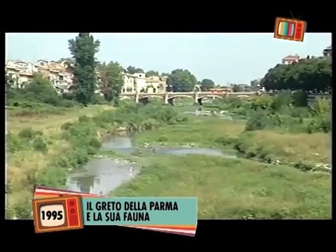 Il greto della Parma e la sua fauna (1995)
