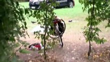 Blitz dei carabinieri al Parco Ducale:  un arresto e cinque denunce