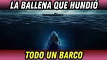 La increíble historia real de la ballena que hundió un barco