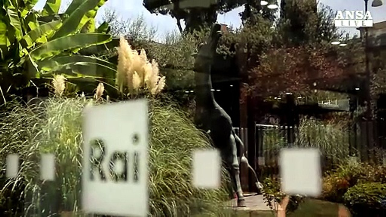 ANSAtg delle ore 8