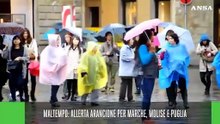 Ansa Live ore 8