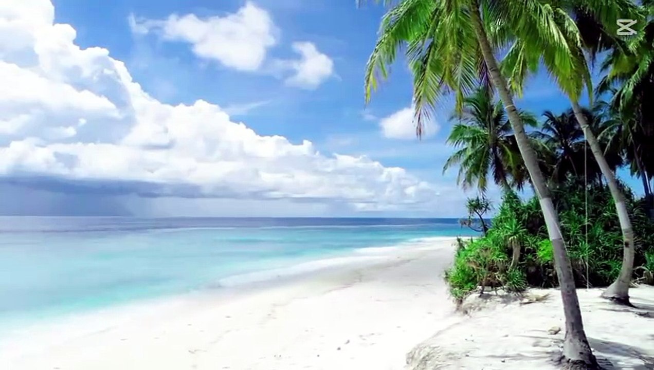 Relaxing video