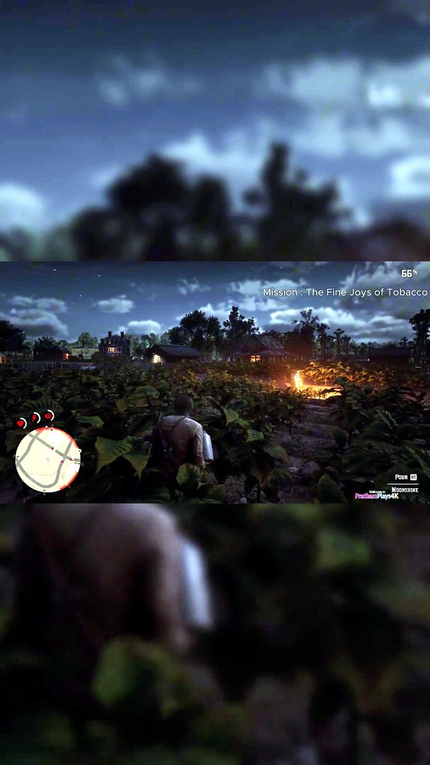 rdr2 moonshine tobacco Arthur Pours Fields RDR2 Mission Fine Joys of Tobacco