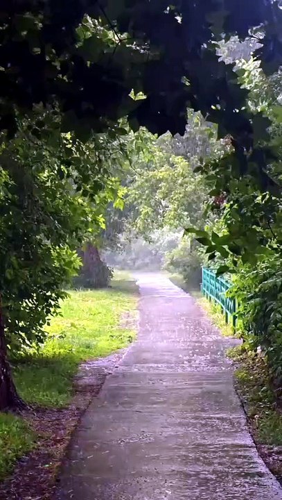 beautiful rainy day status #rainyday #rain #rainy
