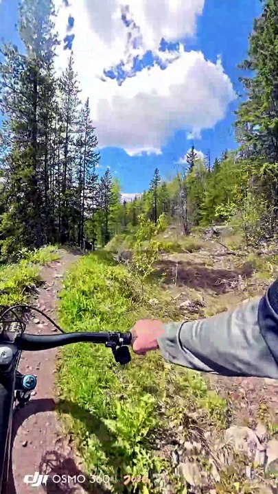 À Santa Cruz, un homme sur son VTT face à un ours confondu avec son chien