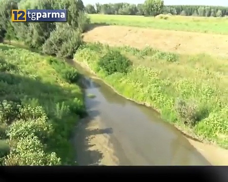 Fiume Enza: iniziati i lavori per la sicurezza idraulica dell'alveo