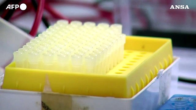 Aifa si attiva per pillola anticovid anche in Italia
