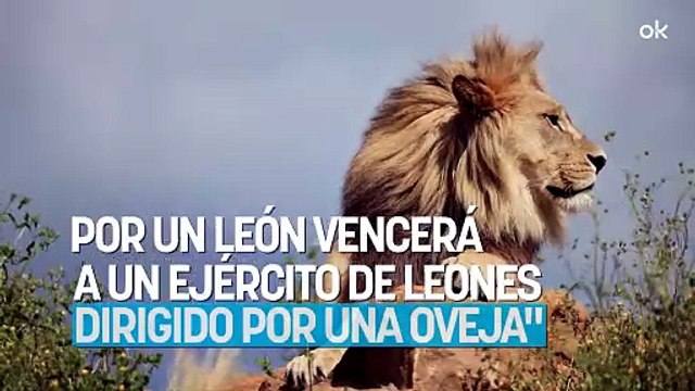 El significado del proverbio africano: Un ejército de ovejas dirigido por un león vencerá a un ejército de leones dirigido por una oveja