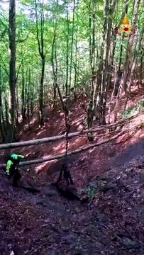 Ventasso, cavallo precipita in un canalone: il salvataggio in elicottero