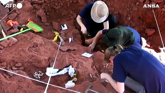 Brasile, ritrovate ossa di una rara specie di dinosauro
