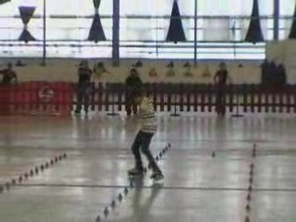 Robin  IFSA 2008 Bruxelles