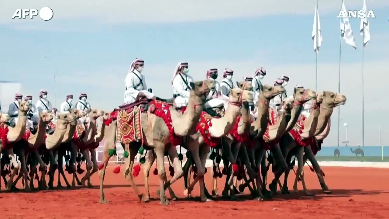 Le donne saudite partecipano a un concorso di bellezza per cammelli nel deserto
