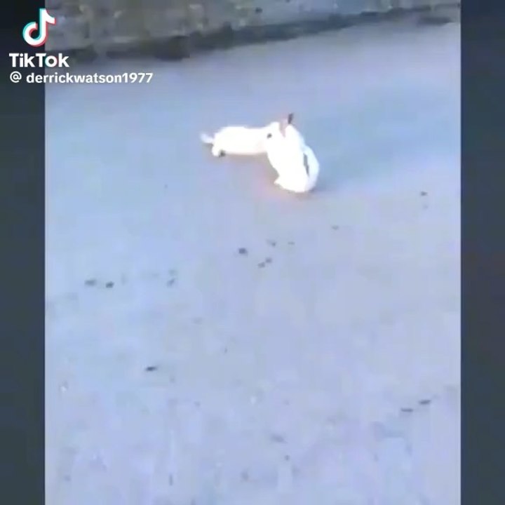 Mdr jsp si c triste au finale