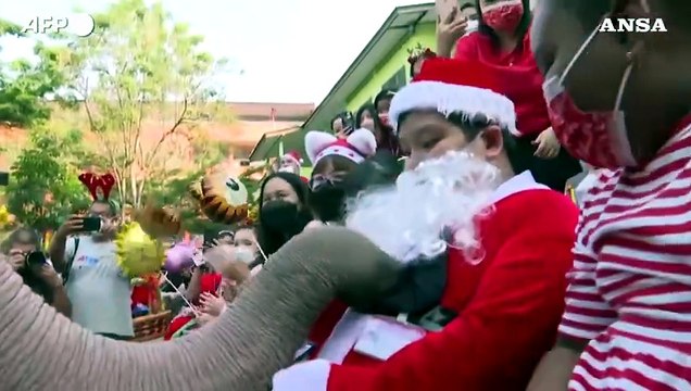 Thailandia, elefanti vestiti da Babbo Natale consegnano i regali ai bambini
