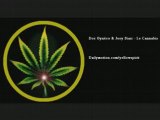 Doc Gynéco et Joey Starr - Le Cannabis