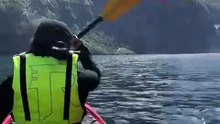 norway is insane