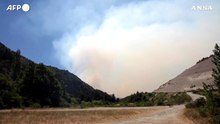 L'Argentina combatte gli incendi boschivi della Patagonia
