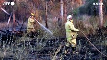 Incendi: Argentina, a Corrientes dichiarato stato di emergenza