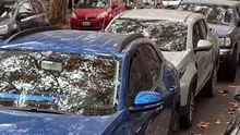 Caos en La Plata por los vehículos en doble fila: la mirada de los automovilistas y la falta de lugares habilitados
