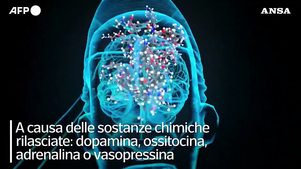 Oggi e' San Valentino, ma che cosa avviene quando ci si innamora?