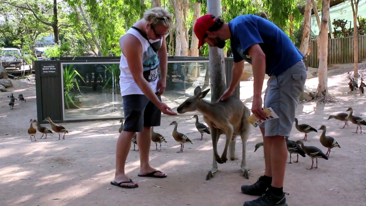 Jour 52 - Australie HD