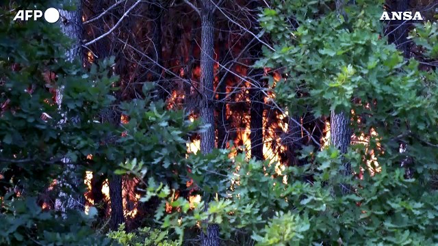 Francia, Gironda: gia' divorati 14mila ettari di vegetazione