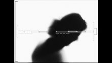 tooloudfortheroom - Der Welt ist das alles egal