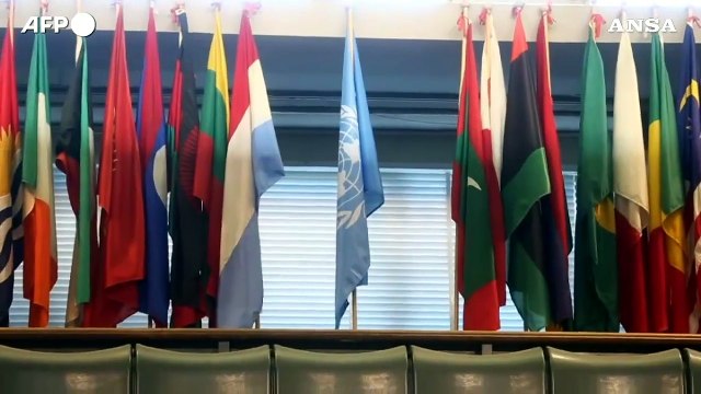 Giornata delle foreste, appello dell'Onu a ridurre il degrado