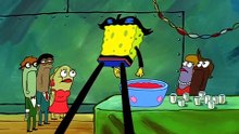 Bob saliendo con perlita